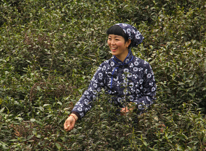 湿濡记忆